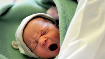 Côtes-d’Armor : cela faisait un demi-siècle qu’il n’y avait pas eu de naissance à La Motte