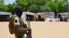 Cinq humanitaires dont un employé d’Action contre la Faim, enlevés par un groupe jihadiste au Nigeria