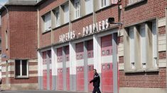 Deux-Sèvres : les pompiers libèrent un chien coincé dans un terrier pendant 20 heures