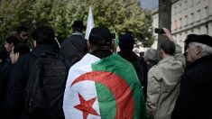 Repentance coloniale : « L’Algérie n’était rien du tout », affirme une journaliste de CNews