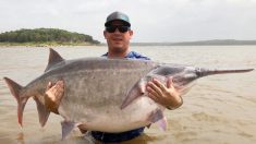 Record mondial pour un pêcheur de l’Oklahoma qui a pêché un poisson-spatule de de 66kg