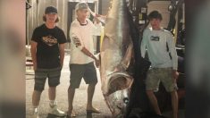 Des pêcheurs adolescents remontent un thon rouge de 318 kg après 7 heures de combat au large du Maine