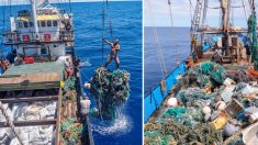 Une opération de nettoyage massif de l’océan Pacifique établit un record, avec la collecte de près de 100 tonnes de déchets plastiques toxiques