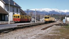 Pyrénées-Orientales : saccagé à coups de tags, le train jaune de Bourg-Madame est méconnaissable
