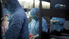 Une virologue chinoise affirme que Pékin a dissimulé l’épidémie de virus et demande l’asile aux États-Unis