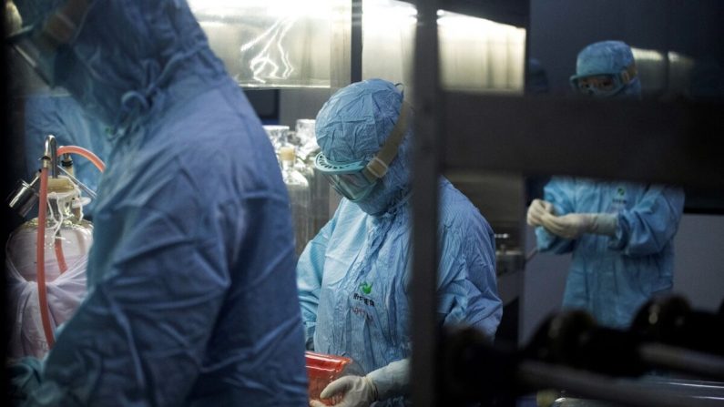 Des chercheurs en combinaison de protection travaillent dans un laboratoire biopharmaceutique de la ville de Shenyang, dans la province de Liaoning, en Chine, le 9 juin 2020. (NOEL CELIS/AFP via Getty Images)