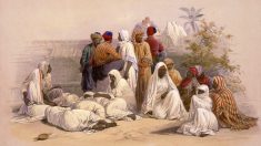 Racisme, esclavage et colonies : l’histoire méconnue