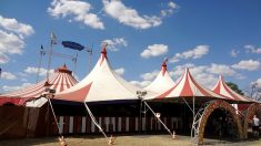 La Ville de Marseille interdit les cirques mettant en scène des animaux