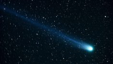 « Avec des jumelles, on peut très bien la voir »: la comète verte C/2022 entame sa tournée d’adieu
