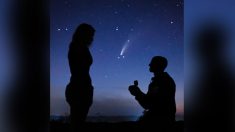 2 couples font leur demande sous une rare comète pour des fiançailles cosmiques uniques