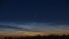 Un astronome amateur photographie «la comète de la décennie» dans le ciel du Puy-de-Dôme