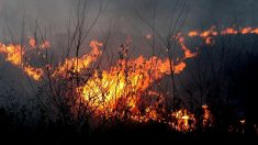 Landes : il stoppe un début d’incendie au retour de la plage