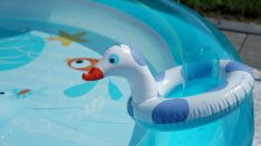 Vaucluse : une enfant de 2 ans se noie dans 50 cm d’eau dans une piscine gonflable