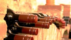 Côte-d’Or : l’appel à l’aide d’un couple de viticulteurs pour retrouver 2.000 bouteilles de Bourgogne volées