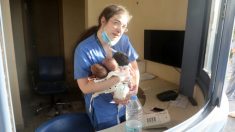 « Elle avait une force cachée » : Une infirmière sort trois nouveau-nés d’un hôpital touché par l’explosion de Beyrouth