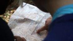 Israël : un adolescent découvre un trésor abbasside de 425 pièces d’or enterré dans une jarre