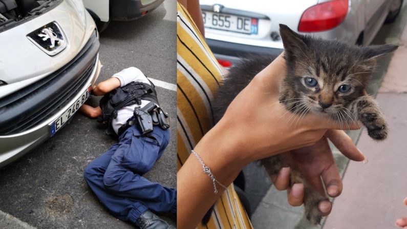 Le chaton est resté dans sa cachette pendant que les policiers ont fait plusieurs tentatives pour l'en déloger. (Police nationale du Tarn-et-Garonne)