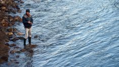 Val-de-Marne : il organise une partie de pêche dans la Seine et remonte un poisson gigantesque