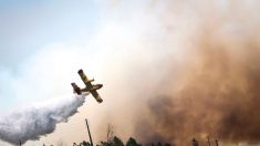 Portugal: un Canadair s’écrase en combattant un incendie, 1 mort et un blessé grave