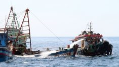 Un pêcheur vietnamien abattu par des gardes-côtes malaisiens en mer de Chine méridionale