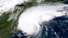 Après avoir épargné la Floride, la tempête Isaias se dirige vers les Carolines
