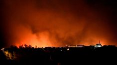 Incendie près de Marseille : 2 700 personnes évacuées, 1 800 pompiers mobilisés, le feu pas encore maîtrisé