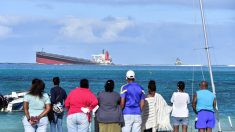 Marée noire à Maurice: la France envoie de l’aide depuis la Réunion