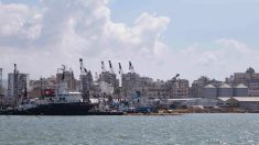 Liban: le port de Tripoli se prépare à remplacer temporairement celui de Beyrouth
