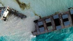 Le navire échoué sur les côtes de l’île Maurice s’est brisé