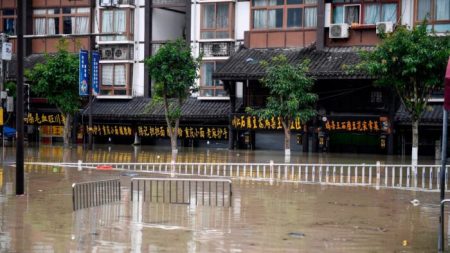 Les pétitionnaires de Chongqing dénoncent les détentions et les coups subis lors de la visite du Premier ministre dans un village inondé