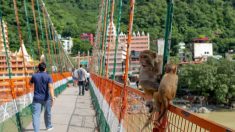 Inde : une Française interpellée après s’être filmée nue sur un pont sacré