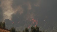 Espagne : 3 200 personnes évacuées, 16 000 hectares de forêt ravagées par un incendie toujours actif