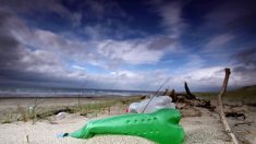 Deux étudiants ramassent des déchets plastiques sur 260 km de plages de la Gironde au Pays basque