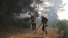 Istres : 150 hectares de végétation ravagés par un incendie, 700 pompiers mobilisés