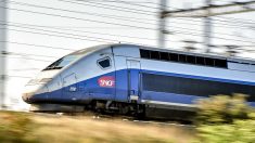 Un conducteur de TGV oublie de s’arrêter en gare de Nîmes et fait marche arrière