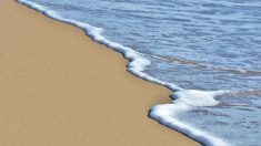 Noyade en Gironde : le corps de l’adolescent disparu retrouvé inanimé sur la plage de Carcans