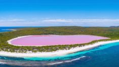 Un photographe capture des images étonnantes d’une teinte rosée de rêve d’un lac australien