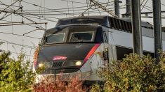 Oise : bloqués en rase campagne pendant plusieurs heures, des voyageurs vivent un véritable cauchemar