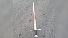Détroit: un homme blessé par balle après avoir attaqué un policier avec une épée
