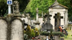 Marseille : un couple de personnes âgées violemment agressé dans un cimetière – ils se recueillaient sur leur tombeau familial