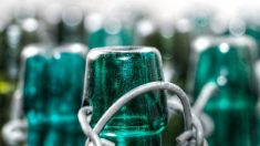 La consigne des bouteilles en verre va-t-elle devenir obligatoire en France ?