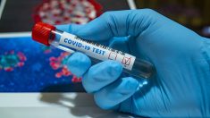 Coronavirus : des scientifiques observent des signes encourageants d’une immunité au Covid-19