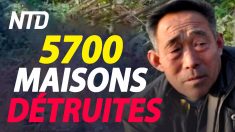 Regards sur la Chine (20 août): 5700 maisons de fermiers détruites