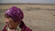 La Chine confine un village de Mongolie-intérieure en raison de décès dus à la peste bubonique