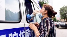 « Plus personne n’est laissé tranquille » : une ville du nord-est de la Chine au bord du gouffre alors que l’épidémie de virus se propage