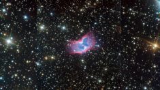 Découvrez le « papillon de l’espace », pris en photo par des astronomes, à des milliers d’années-lumière