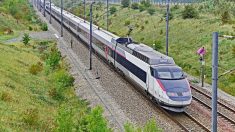 Bas-Rhin : un homme heurté par un TGV près de la gare de Stephansfeld