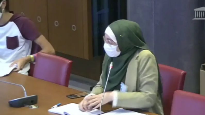 Maryam Pougetoux, la vice-présidente de l'Unef lors de la commission à l'Assemblée. — Capture d'écran/Assemblée nationale