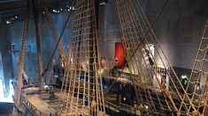 Pêche royale: un esturgeon de 500 ans retrouvé dans le navire échoué d’un roi danois