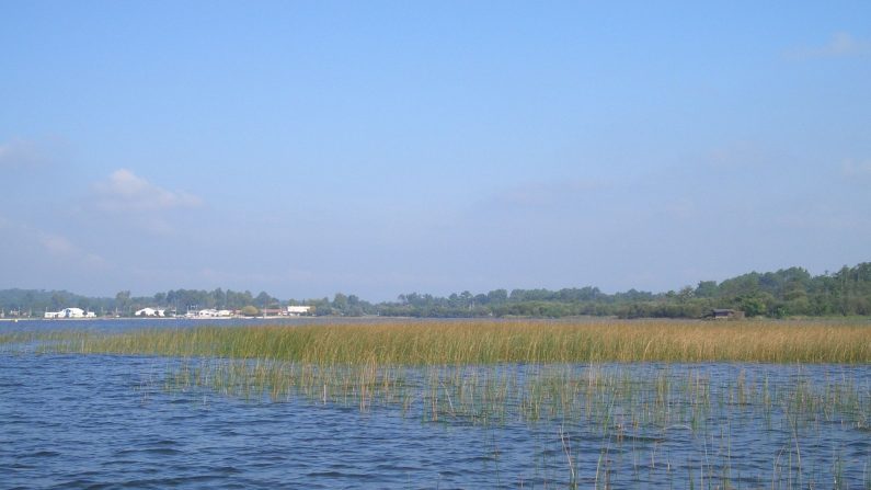 Lac de Parentis (Plbcr)
